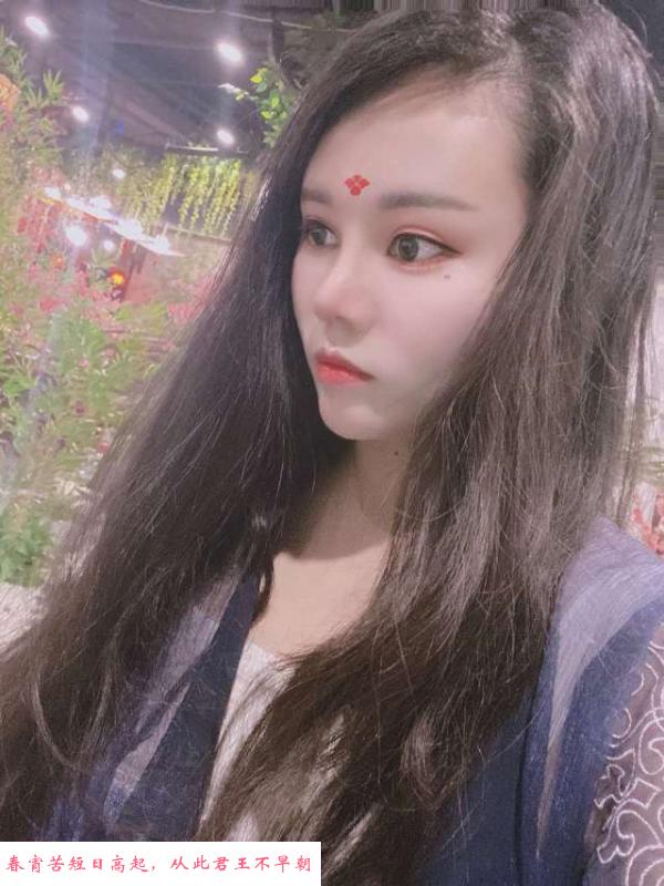 江宁向日葵 第1张