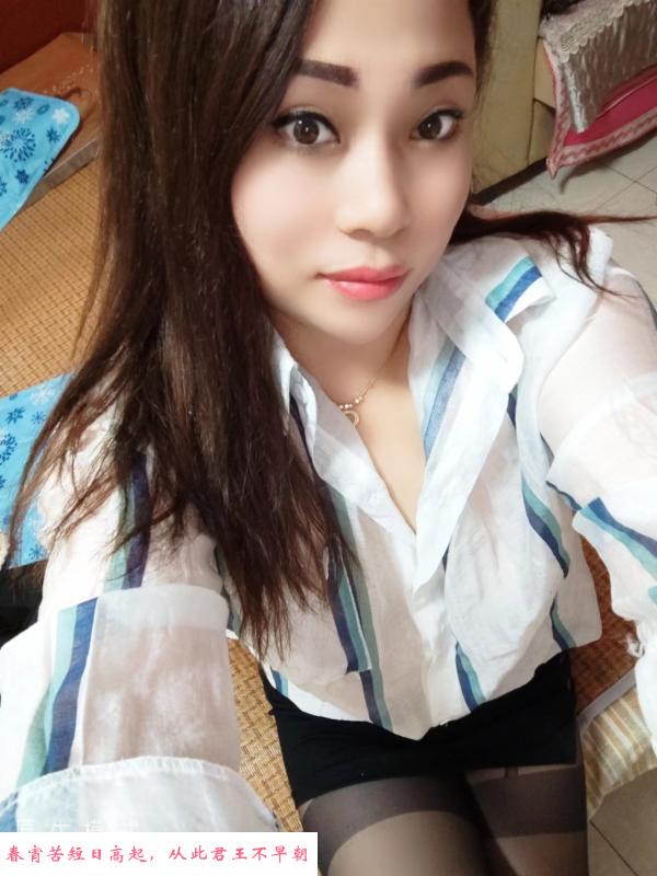 北关靠谱姐 第1张