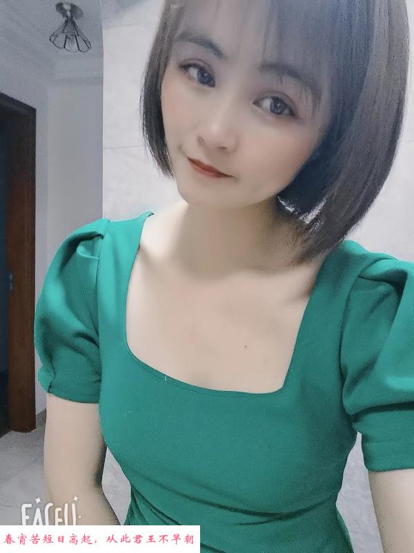 南京含羞草 第1张