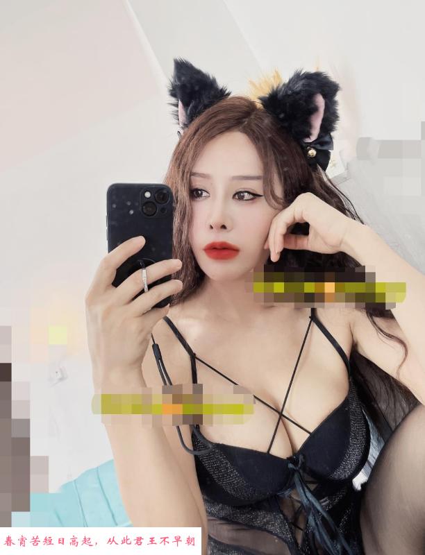 天河轻熟猫猫 第2张