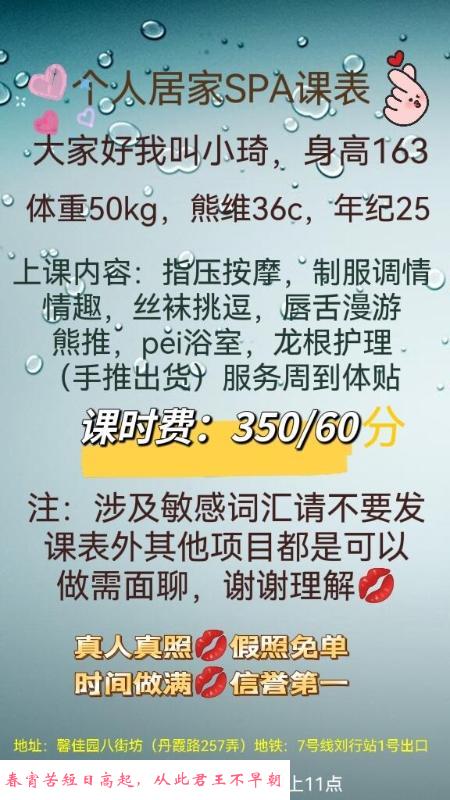 宝山小琦 第4张