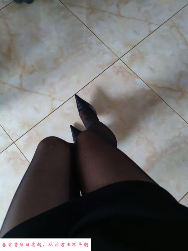 吉林调教女王 第1张