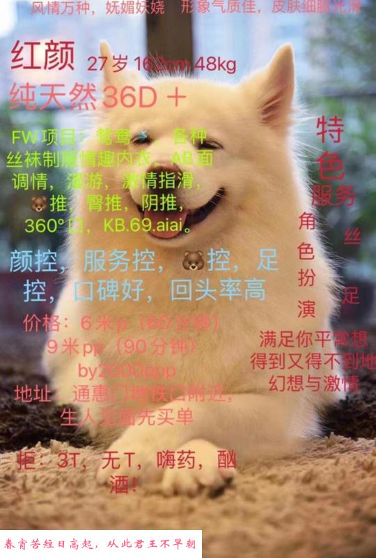 武侯少妇 第3张