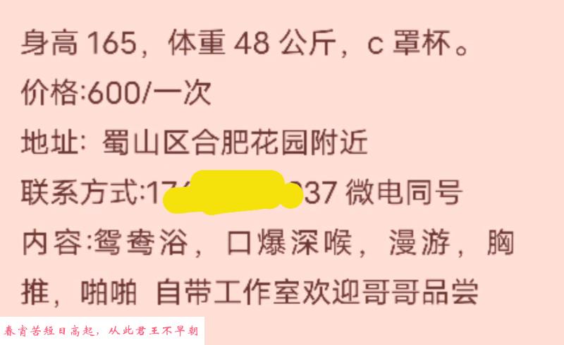 合肥年轻少妇 第3张