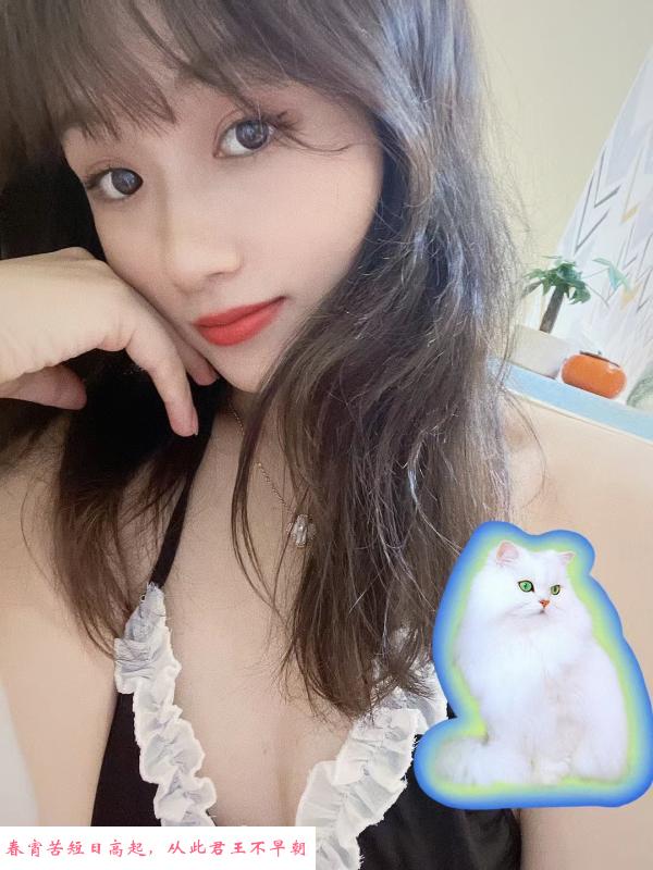 快餐女仆 第1张
