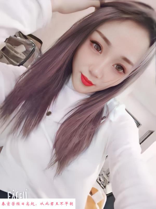 西城带刺玫瑰 第1张