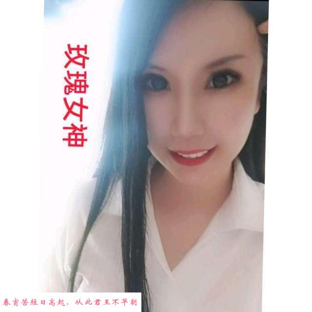 保定玫瑰 第1张