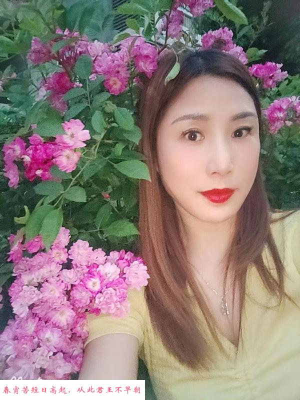 南京少妇 第1张
