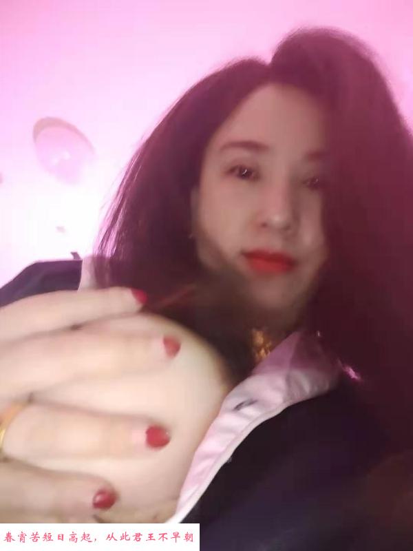 哈西楼凤 第1张