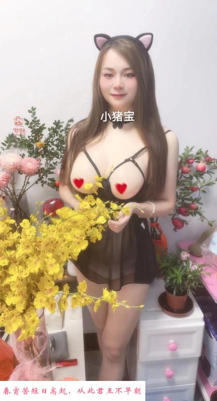 宝安小猪宝 第3张