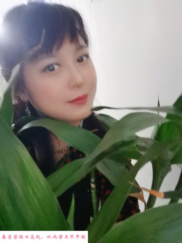 成都淑女姐姐 第1张