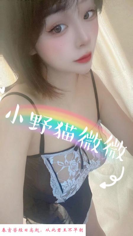 新区可爱小姐姐 第1张