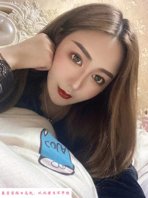红桥小蜜蜂 第1张