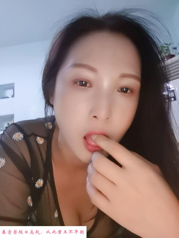高新风骚人妻少妇 第1张
