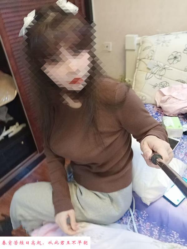 新都小蚊子 第1张