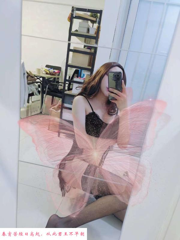 伪娘小美 第4张