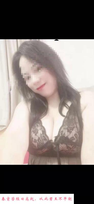 城西大奶牛乳交 第1张