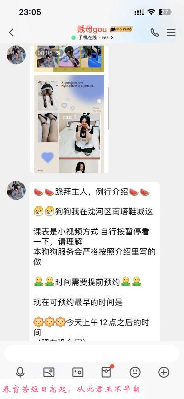 沈河SM 第4张