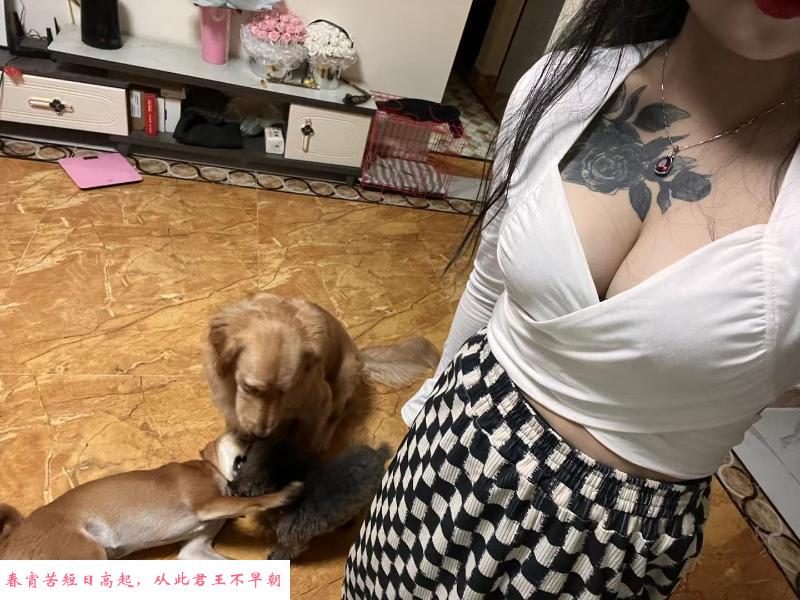 体验少妇龙的服务 第1张