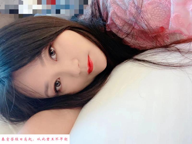 温柔型西湖燕子 第1张