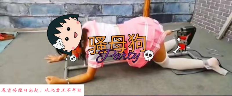 随便玩的sm母狗 第2张