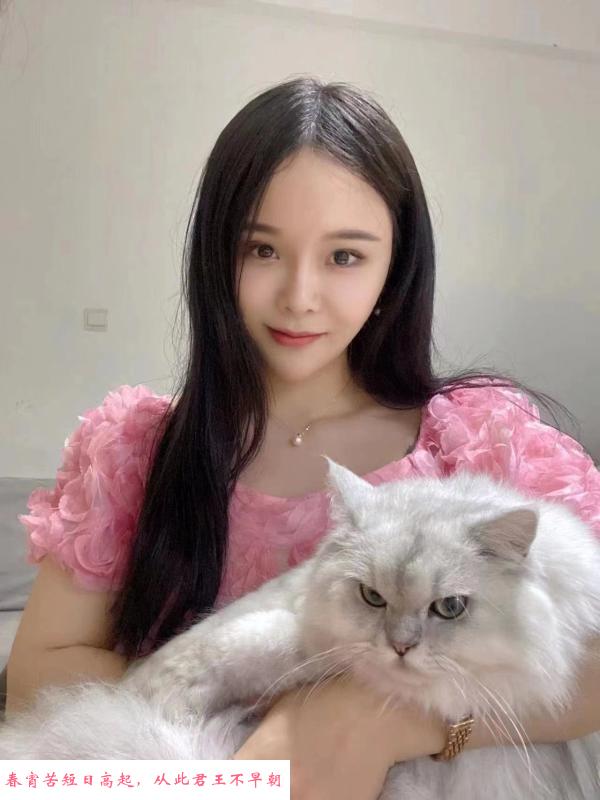 浦东爱撸猫小c咪 第2张