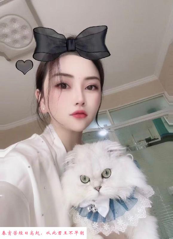 朝阳白玫瑰 第2张
