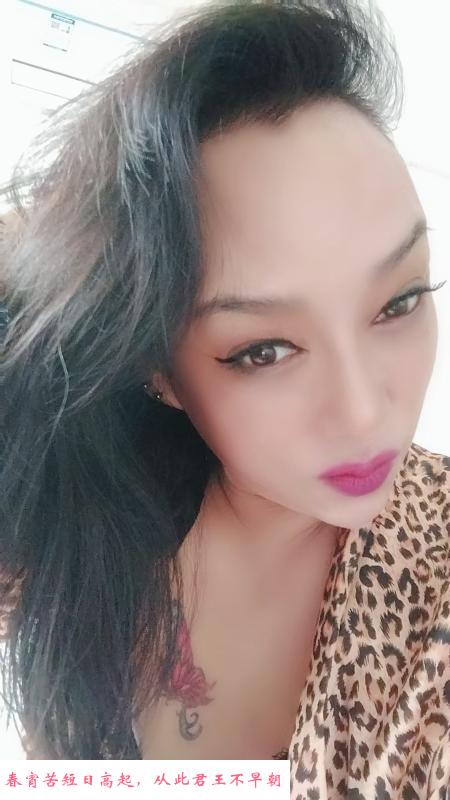 天塔旁边泻火熟女 第1张