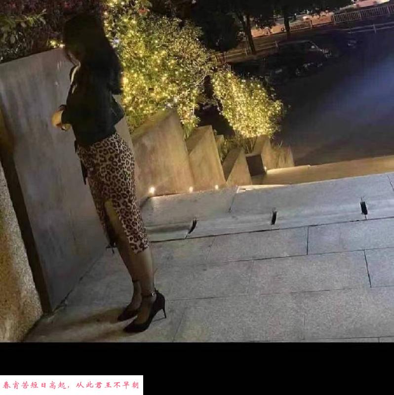 东北小少妇 第1张