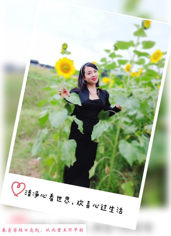 重庆熟女 第1张