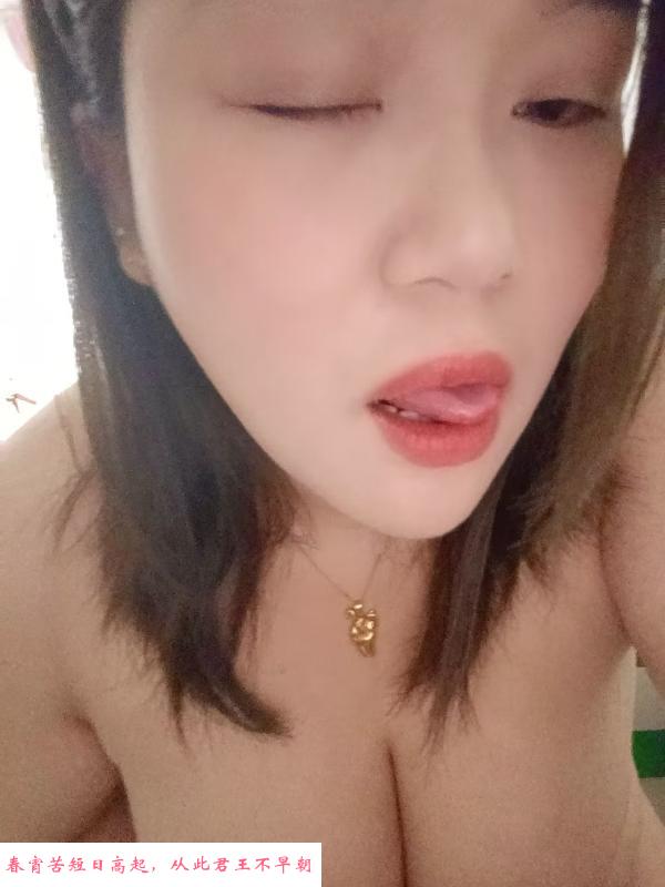 体验北城小浪浪 第1张