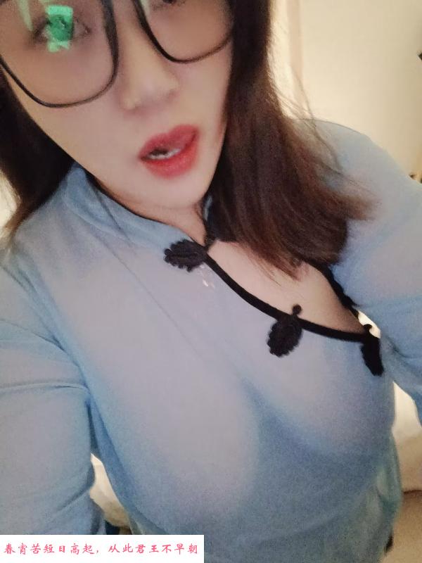 体验北城小浪浪 第3张