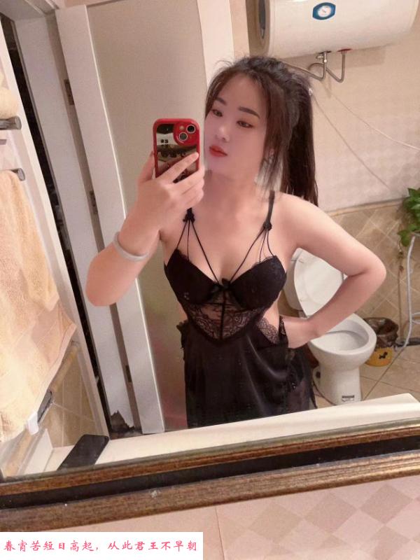 小浪狗琪琪 第1张