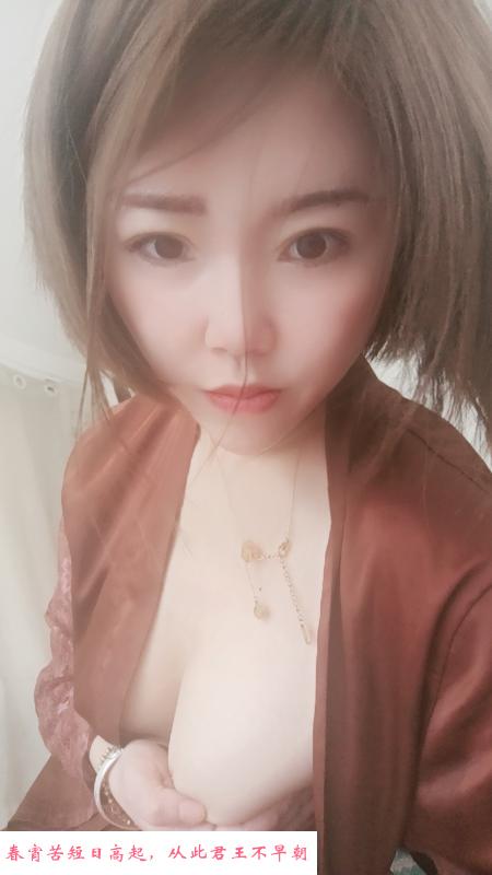 铁西骚奇奇 第1张
