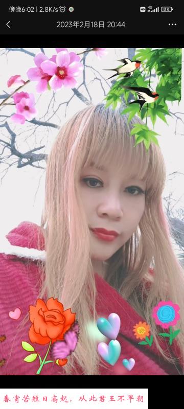 姑苏熟女 第1张