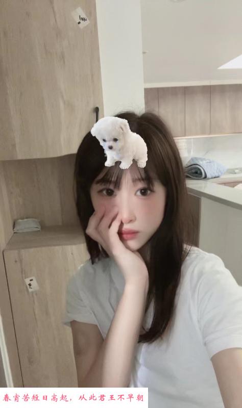 宝安颜值美女 第1张