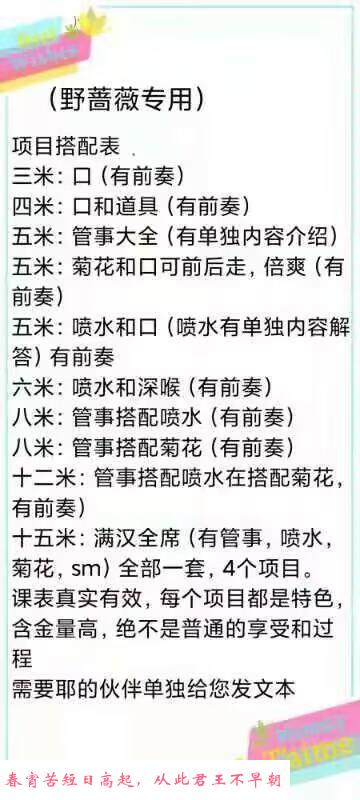 潮喷野蔷薇 第2张