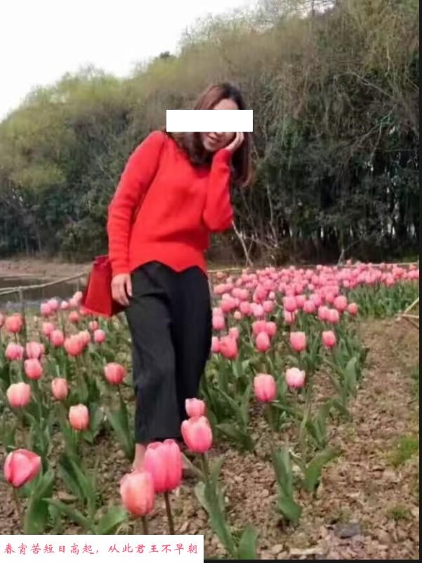 嘉兴市区熟女姐姐 第1张