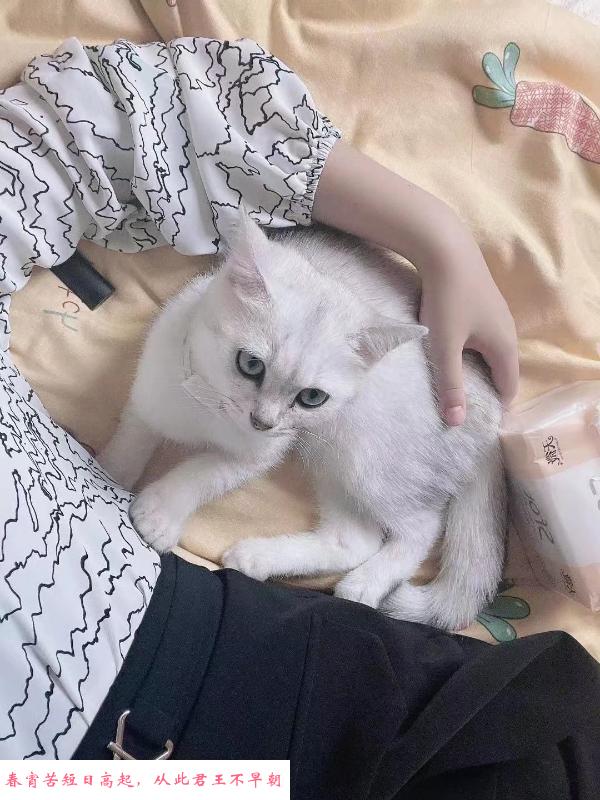 汉阳王家湾小仙女 第2张