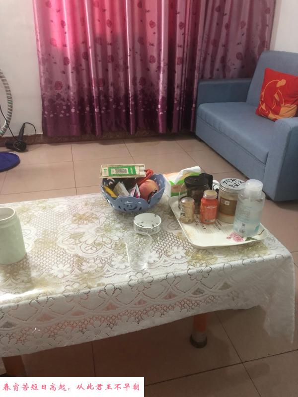 培训老师琳琳 第2张