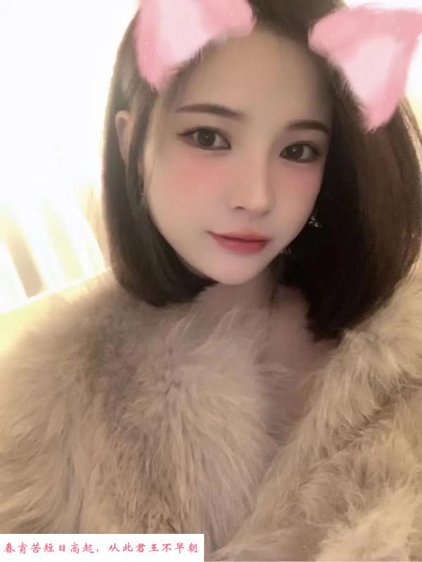 小鲁班小小 第1张