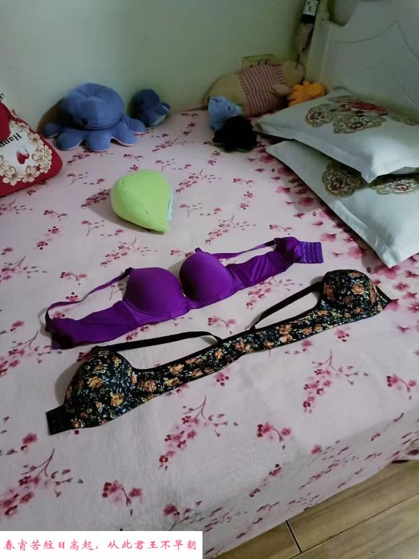 南湖巨乳肥臀体验 第4张