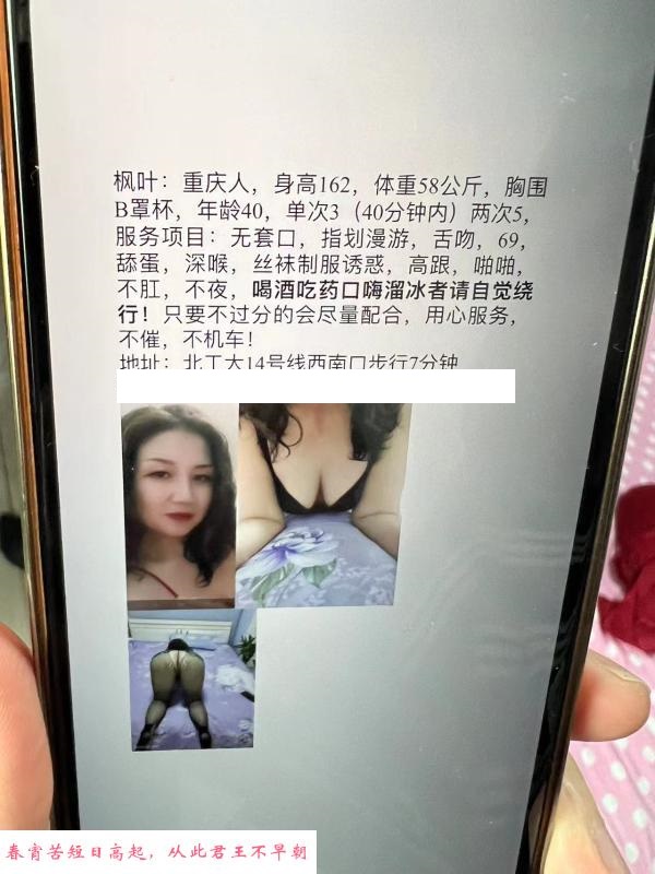 北工大少妇 第1张
