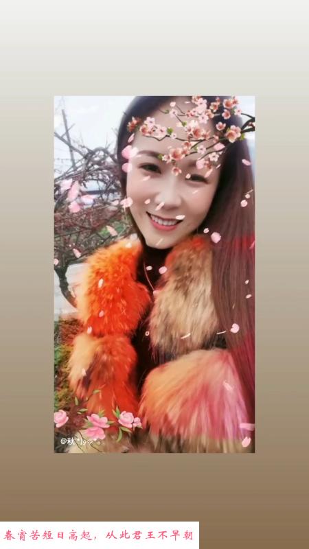 夫子庙服务系 第1张
