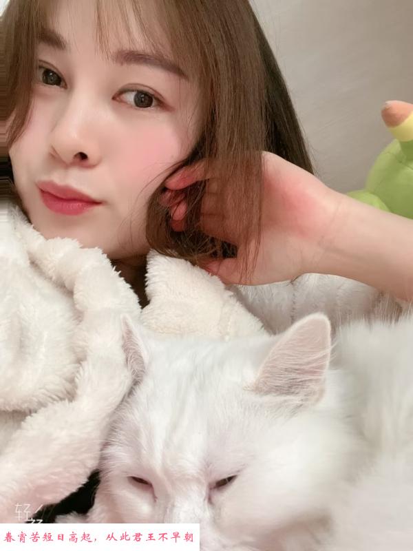 武进燕子 第2张