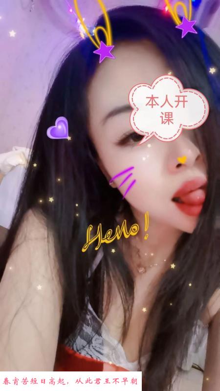汉口狗尾巴草 第1张