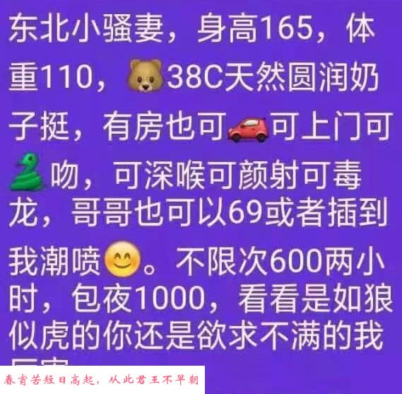 王家湾东北轻熟女开心 第2张
