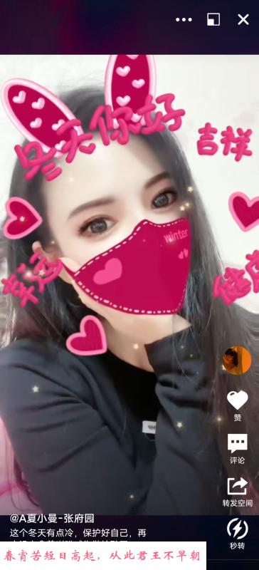 张府园楼凤 第1张