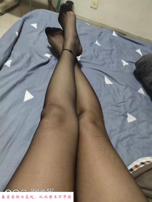 铁西少妇 第1张