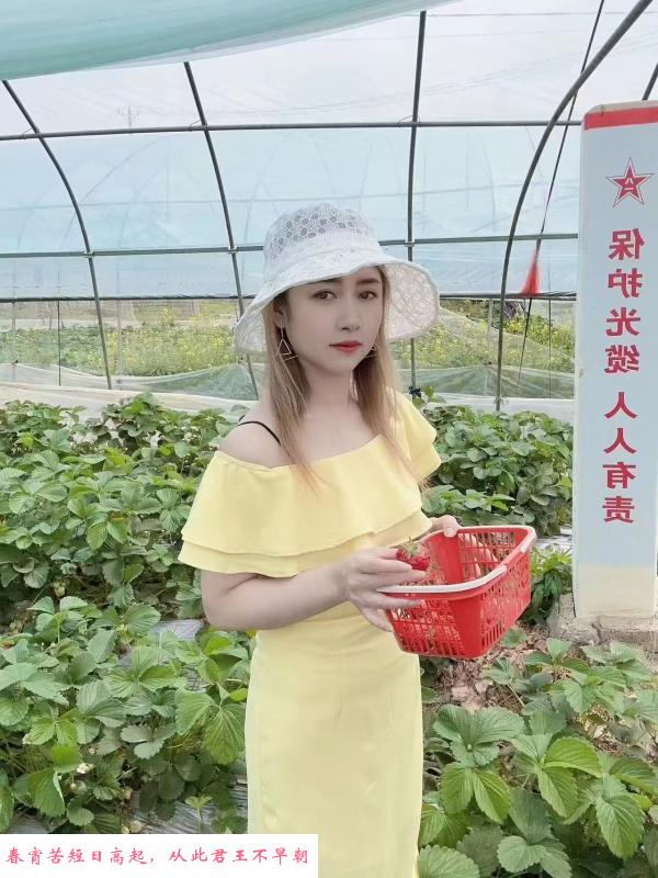 小菲妹子 第1张